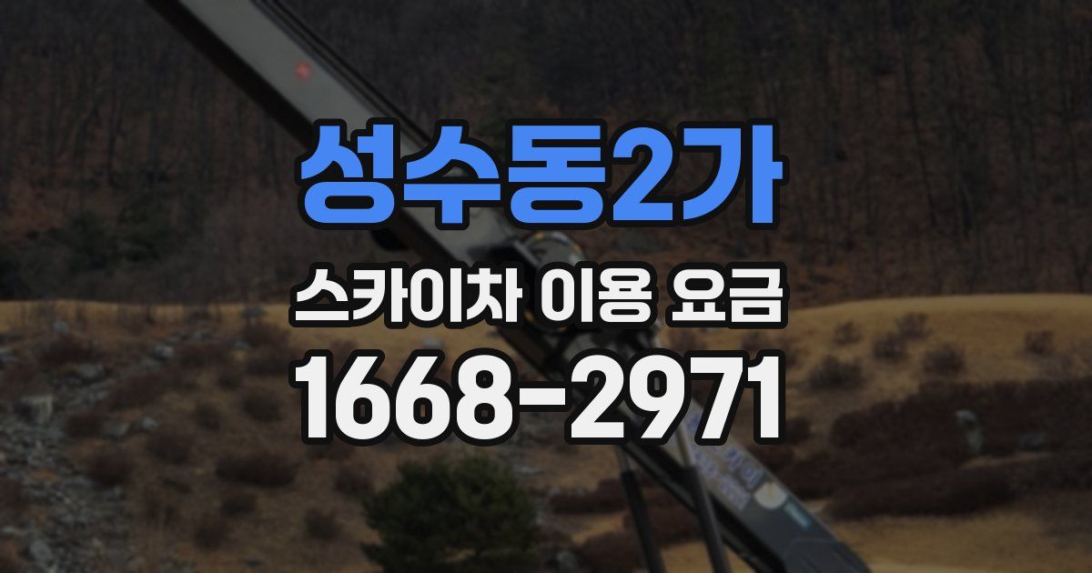 성수동2가 스카이차 이용 요금
