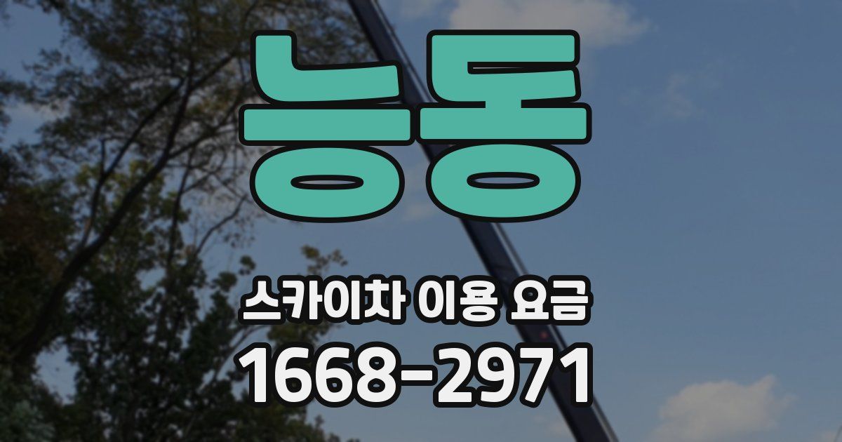 능동 스카이차 이용 요금