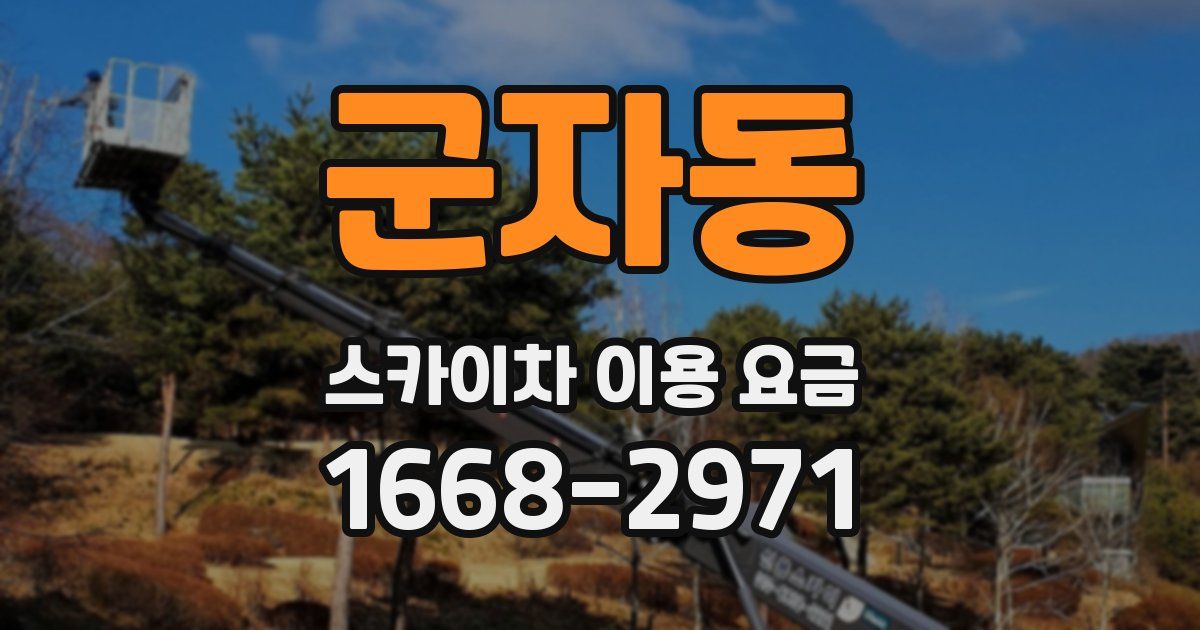 군자동 스카이차 이용 요금