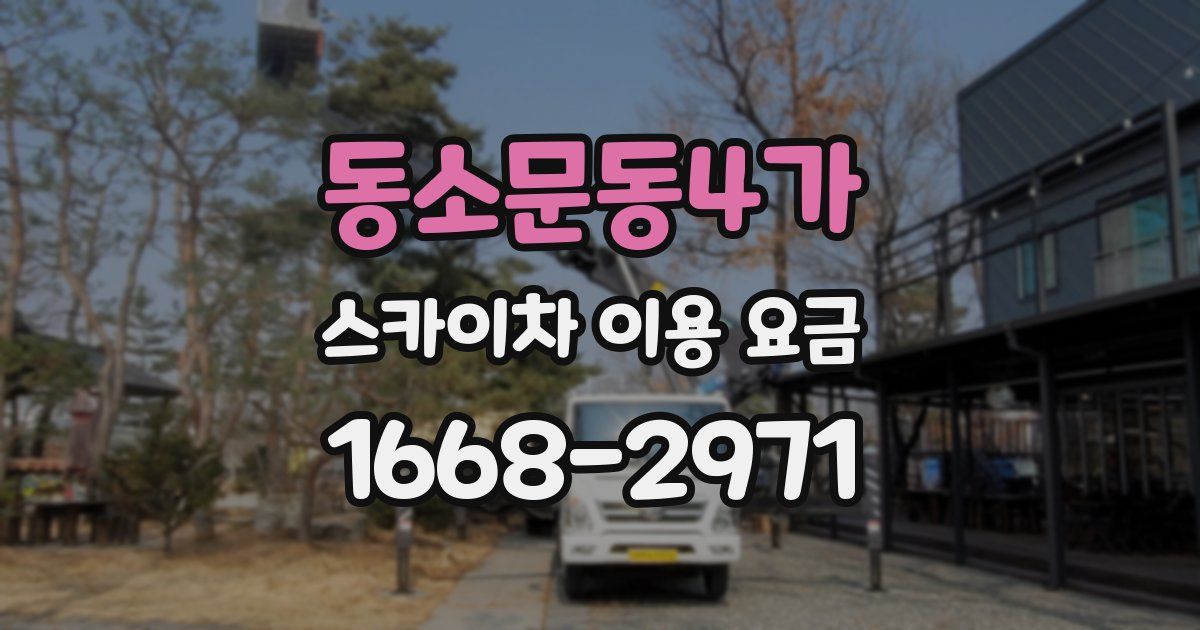 동소문동4가 스카이차 이용 요금