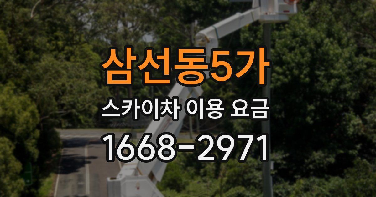 삼선동5가 스카이차 이용 요금