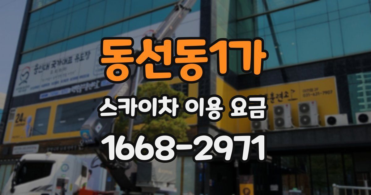 동선동1가 스카이차 이용 요금