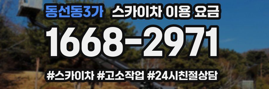 동선동3가 스카이차 이용 요금