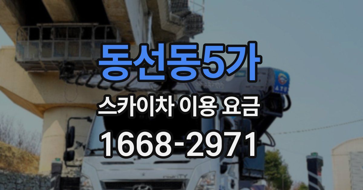 동선동5가 스카이차 이용 요금