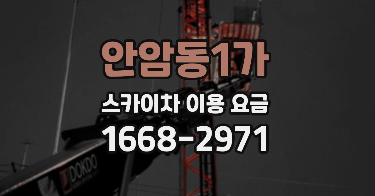 안암동1가 스카이차 이용 요금