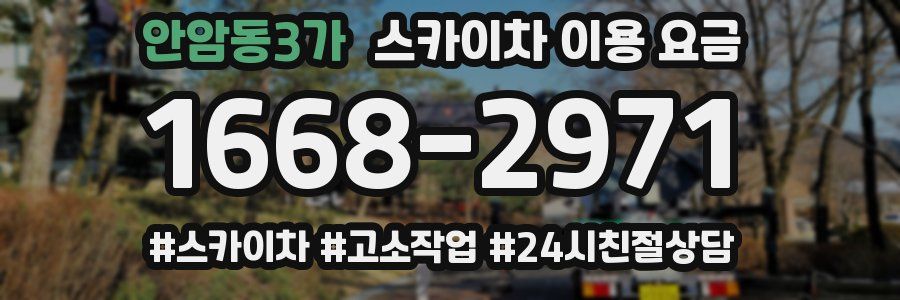 안암동3가 스카이차 이용 요금