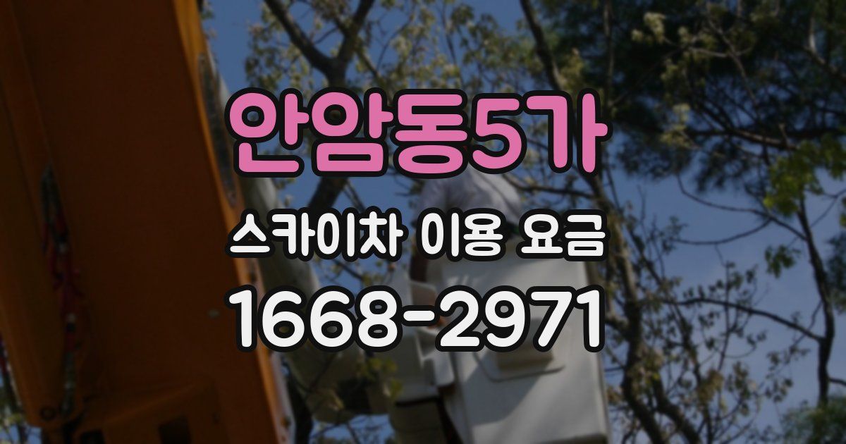 안암동5가 스카이차 이용 요금