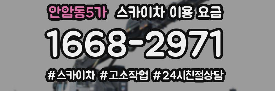 안암동5가 스카이차 이용 요금