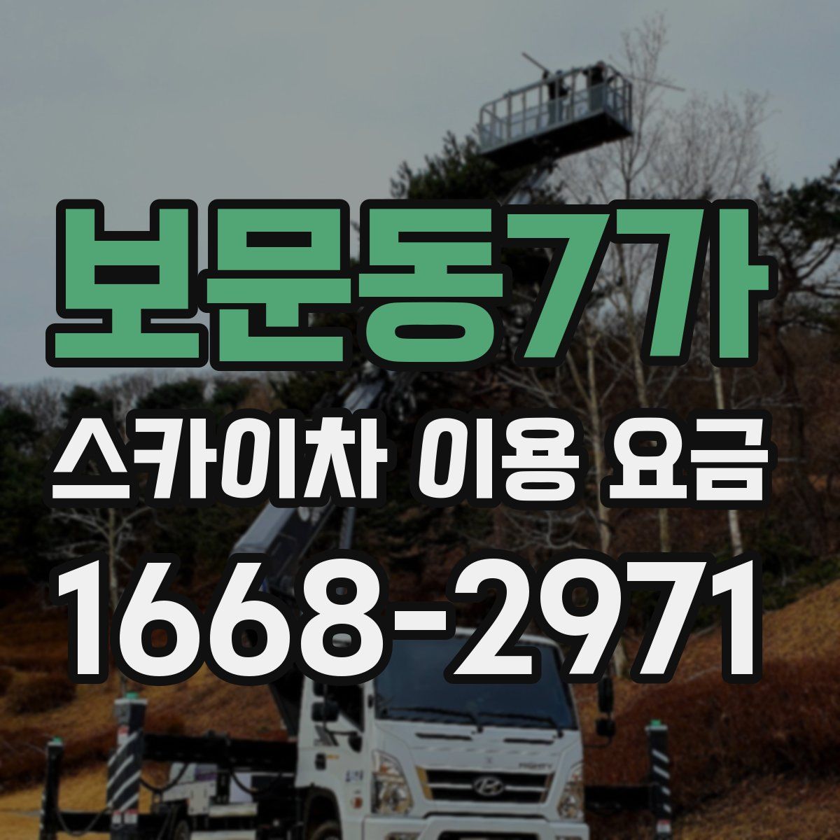 보문동7가 스카이차 이용 요금