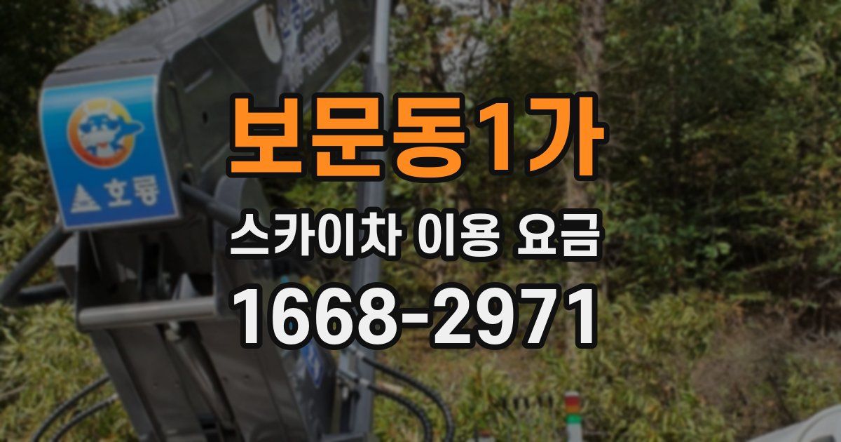 보문동1가 스카이차 이용 요금