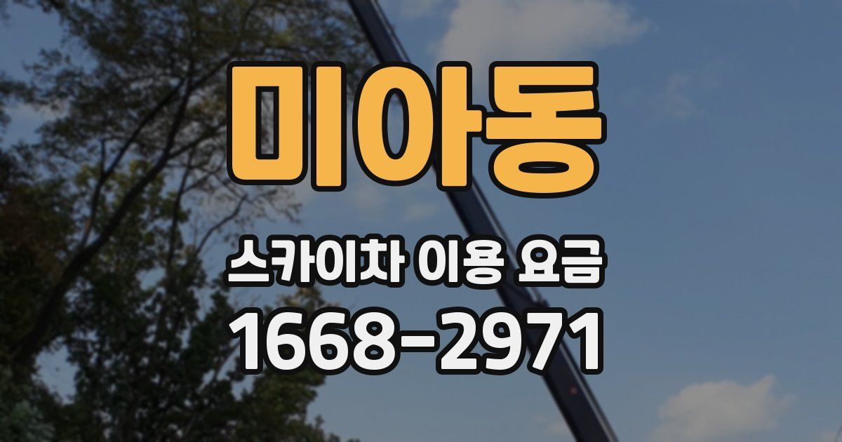 미아동 스카이차 이용 요금