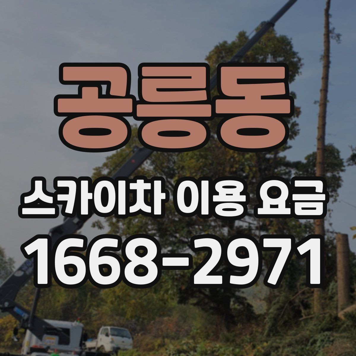 공릉동 스카이차 이용 요금 확인 전에 알아야 할 용어