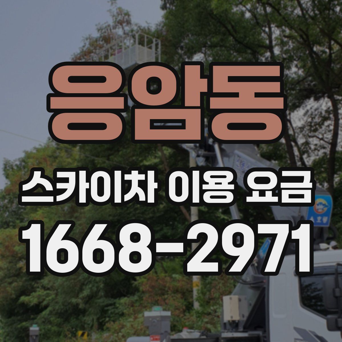 응암동 스카이차 이용 요금