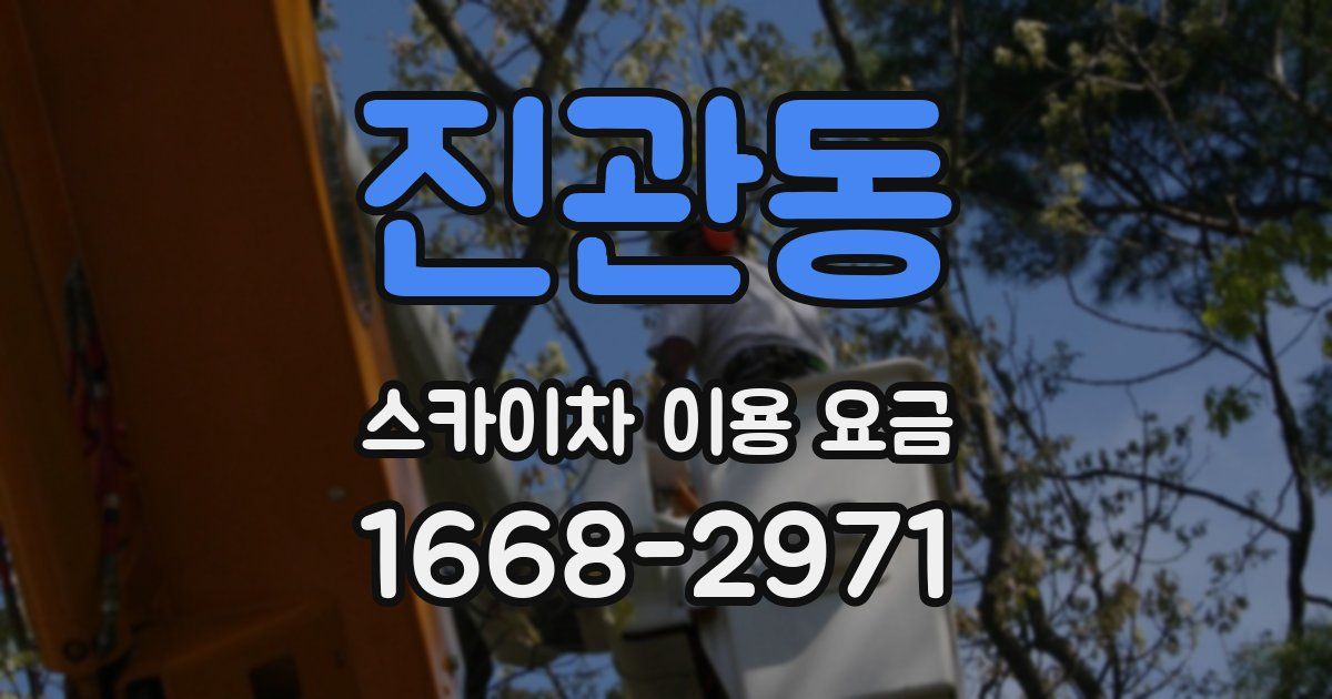 진관동 스카이차 이용 요금