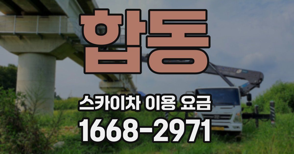 합동 스카이차 이용 요금