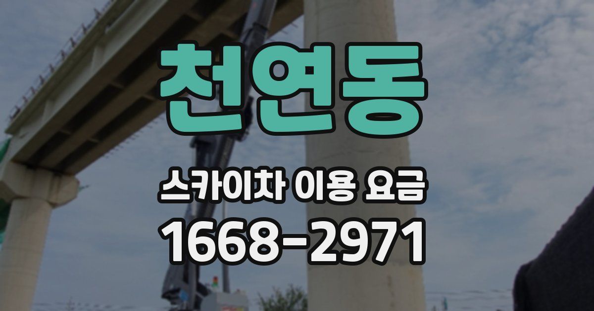 천연동 스카이차 이용 요금
