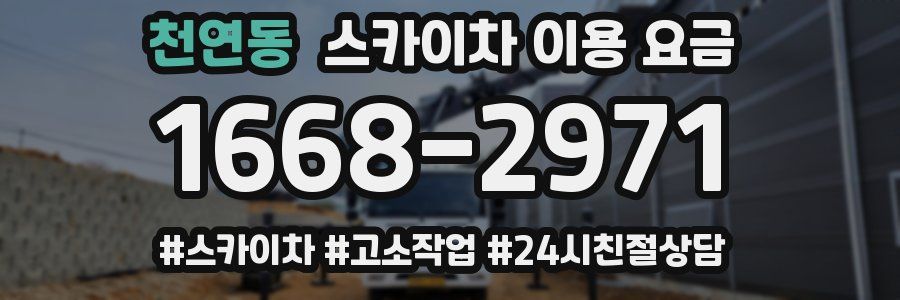 천연동 스카이차 이용 요금