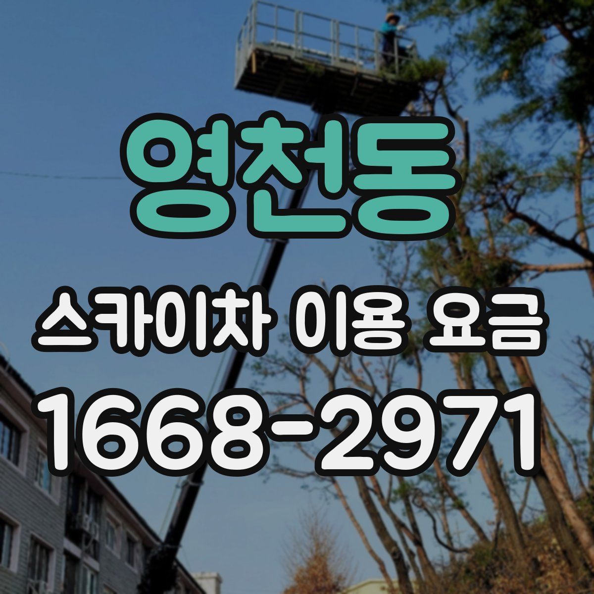 영천동 스카이차 이용 요금