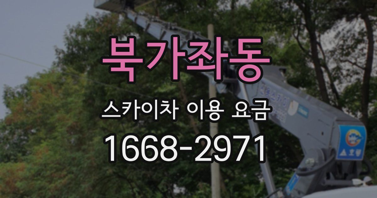 북가좌동 스카이차 이용 요금