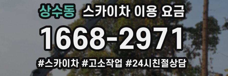 상수동 스카이차 이용 요금