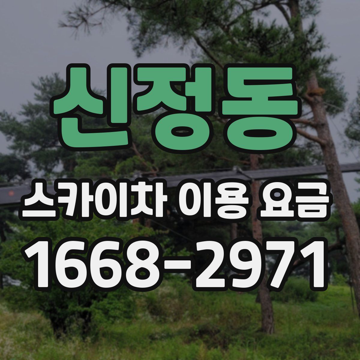 신정동 스카이차 이용 요금