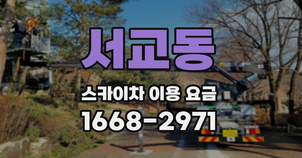 서교동 스카이차 이용 요금