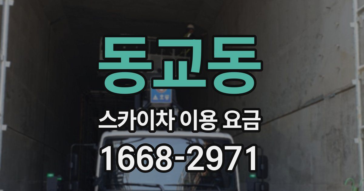 동교동 스카이차 이용 요금