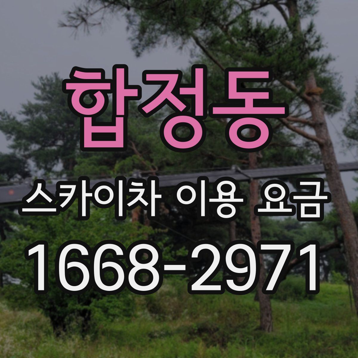 합정동 스카이차 이용 요금