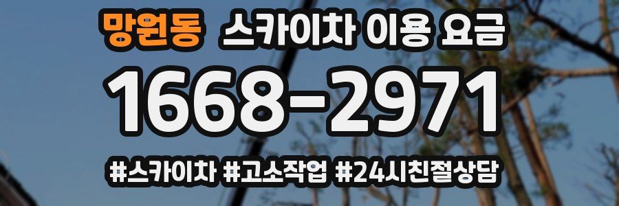 망원동 스카이차 이용 요금