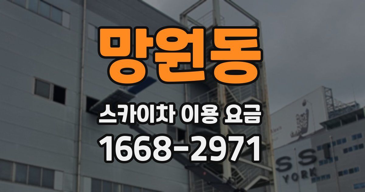 망원동 스카이차 이용 요금