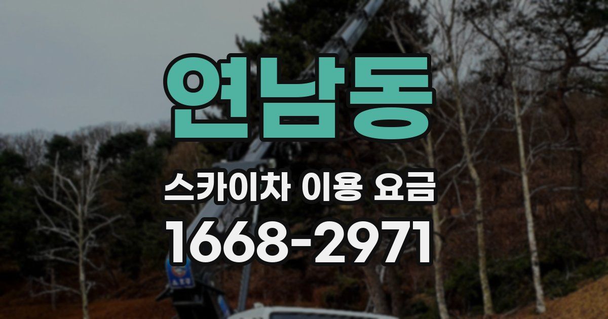 연남동 스카이차 이용 요금