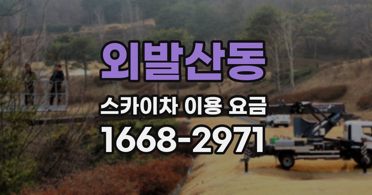 외발산동 스카이차 이용 요금
