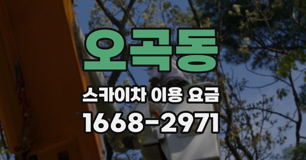 오곡동 스카이차 이용 요금