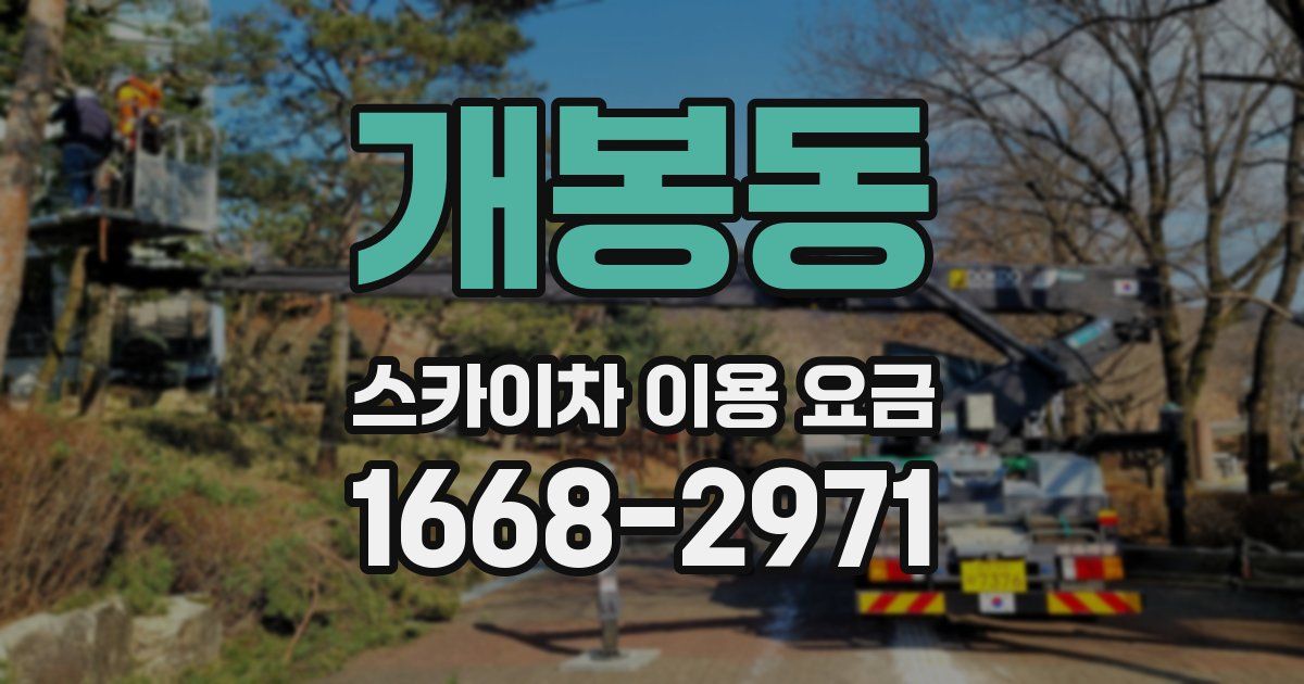 개봉동 스카이차 이용 요금