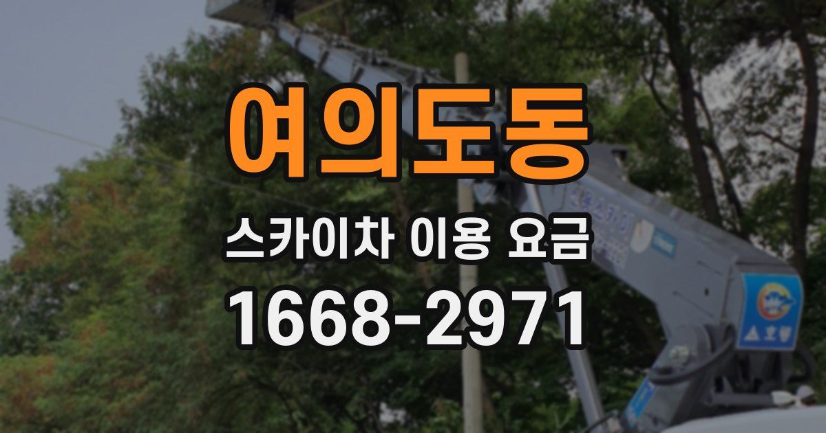 여의도동 스카이차 이용 요금
