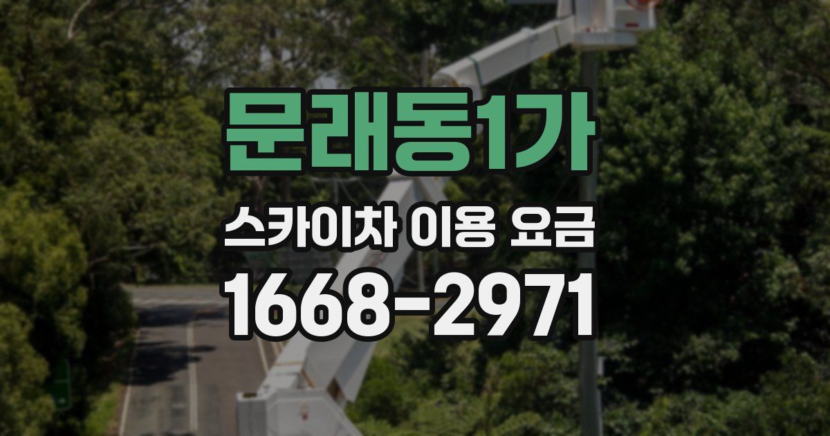 문래동1가 스카이차 이용 요금