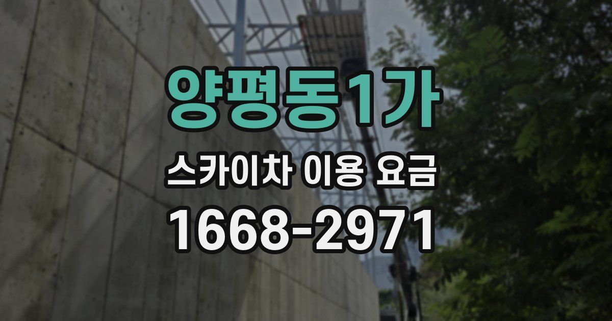 양평동1가 스카이차 이용 요금