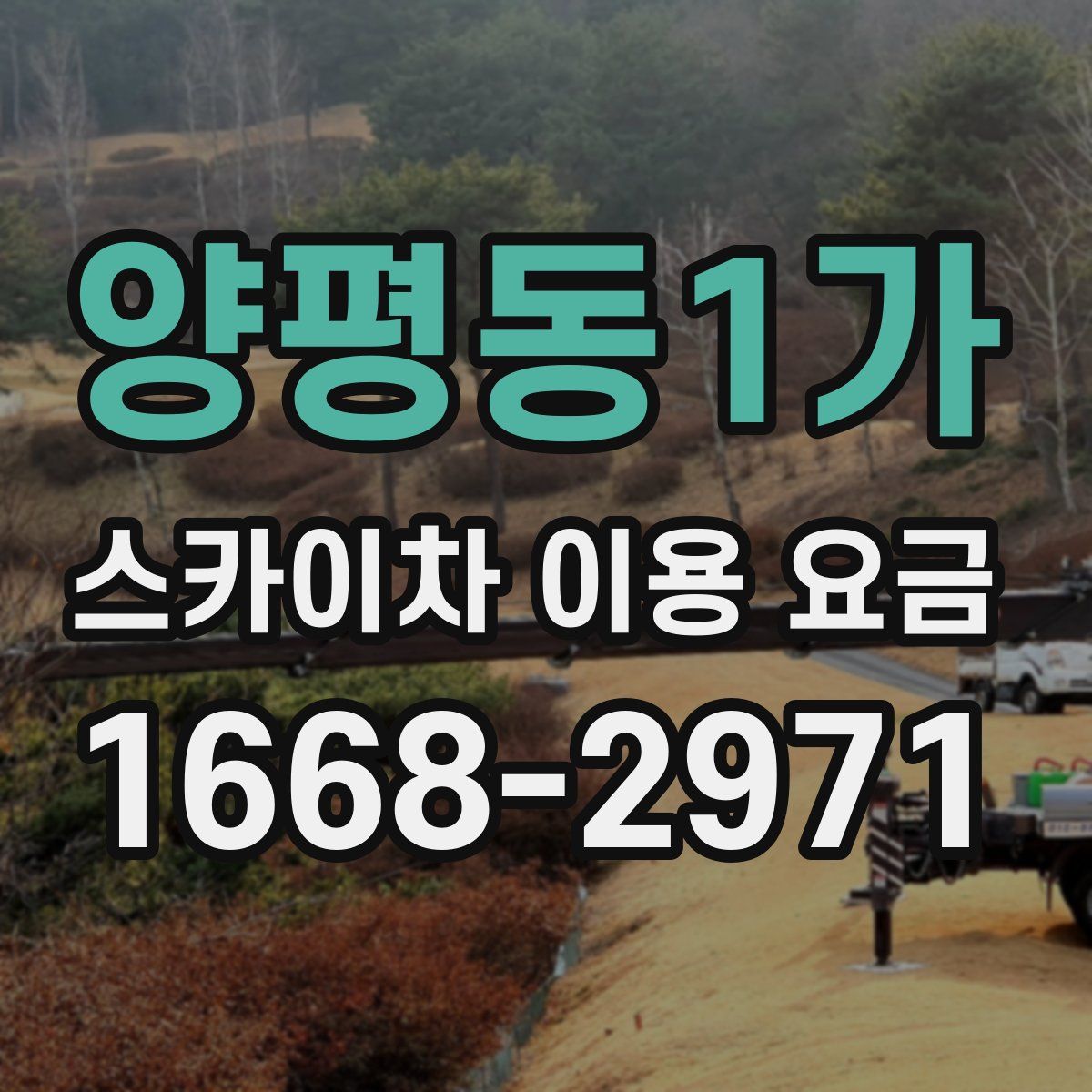 양평동1가 스카이차 이용 요금
