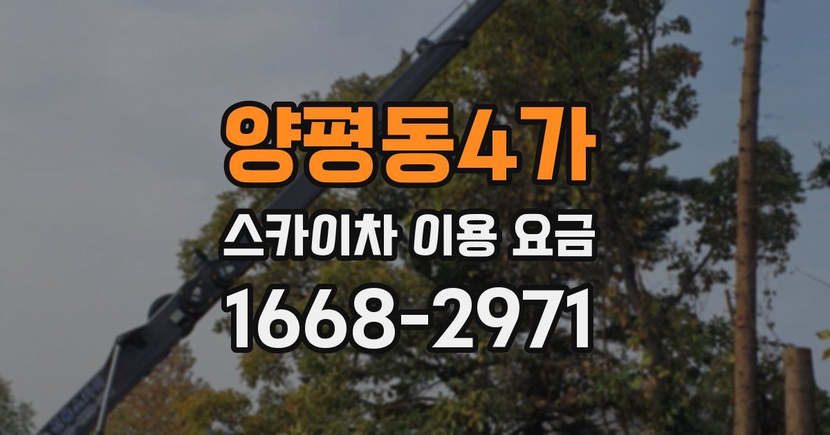 양평동4가 스카이차 이용 요금