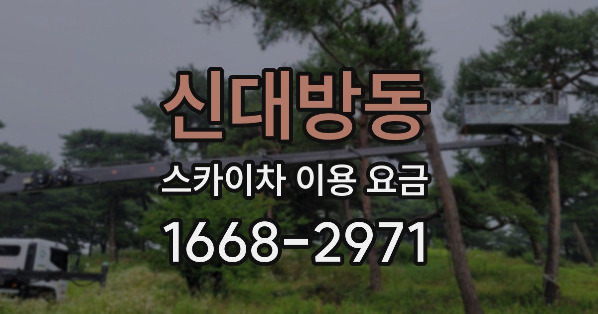 신대방동 스카이차 이용 요금