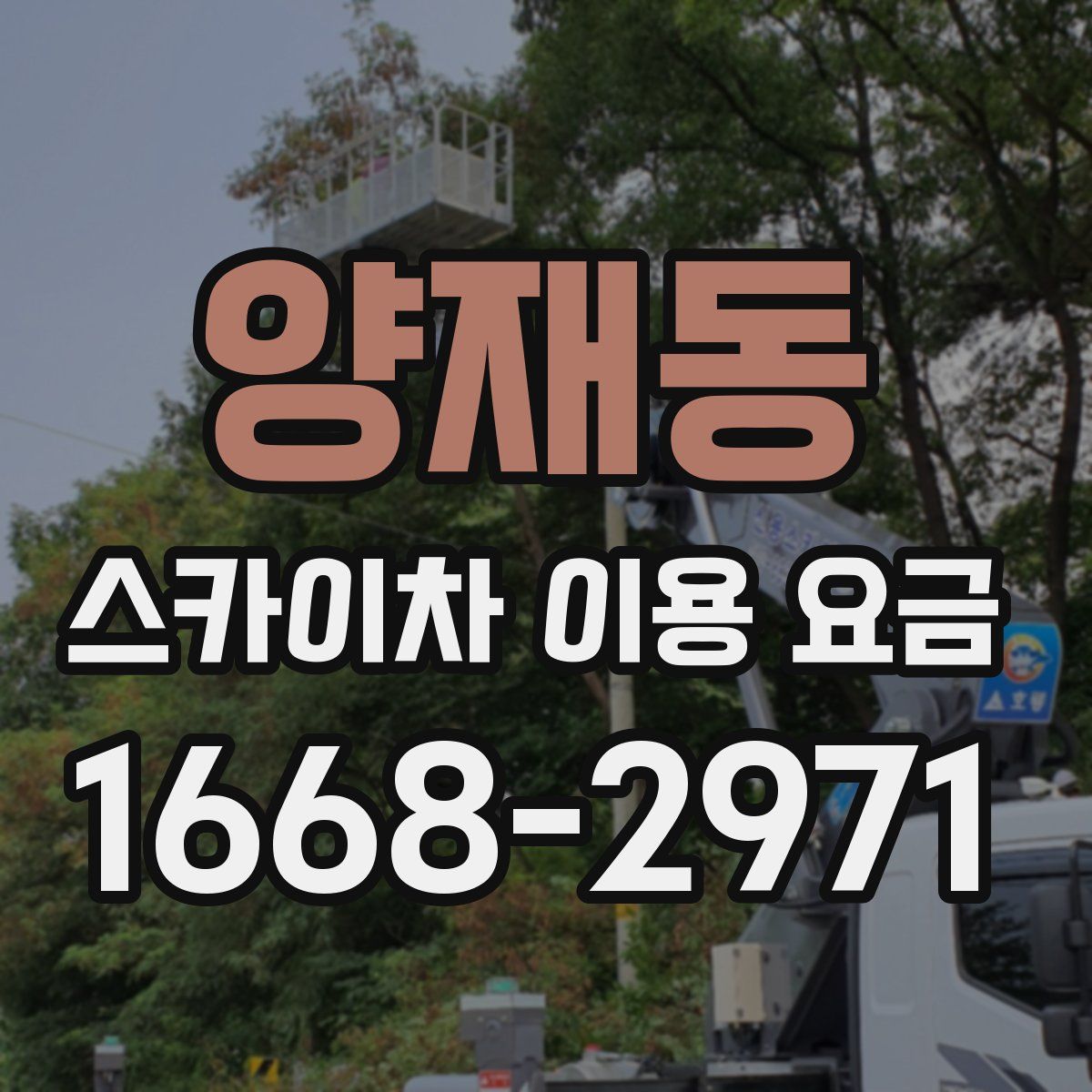 양재동 스카이차 이용 요금