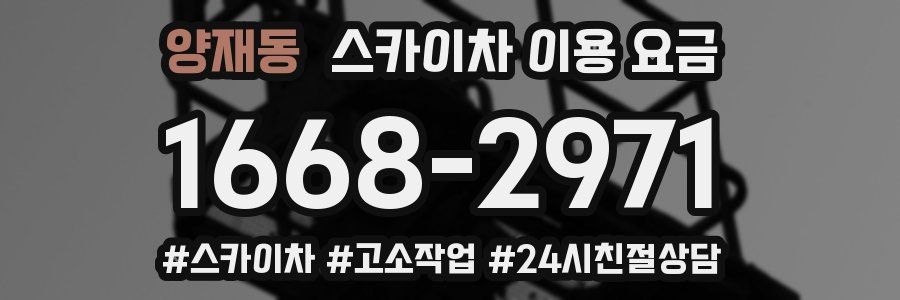 양재동 스카이차 이용 요금