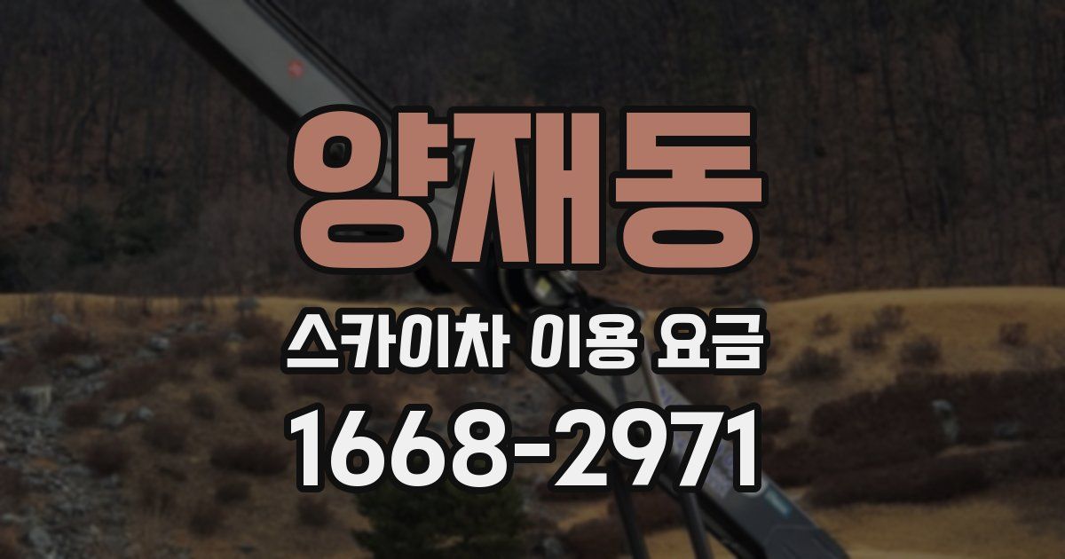 양재동 스카이차 이용 요금