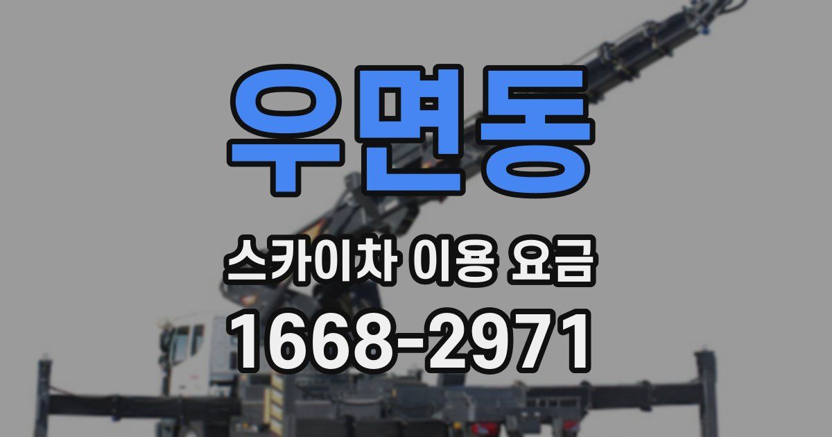 우면동 스카이차 이용 요금