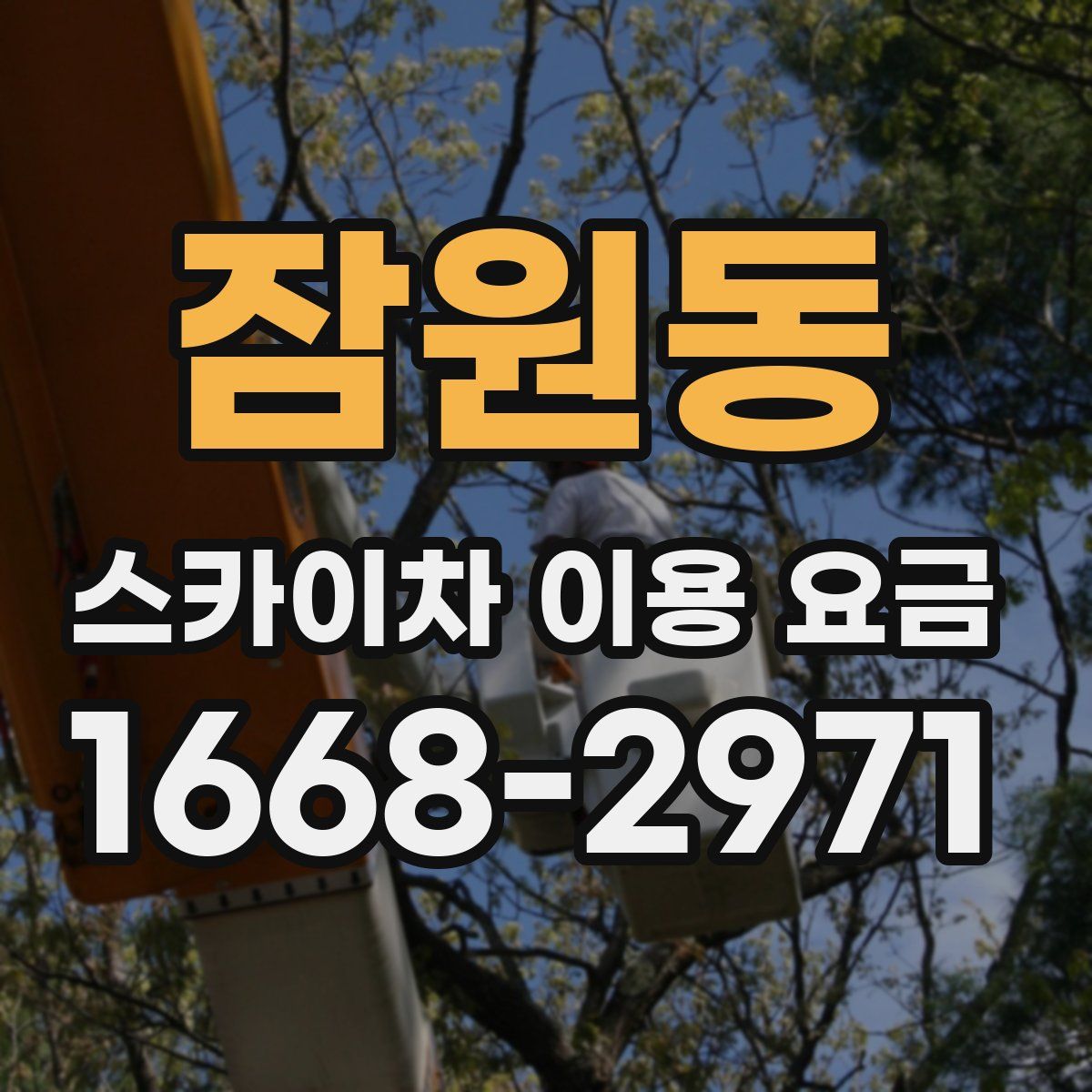 잠원동 스카이차 이용 요금