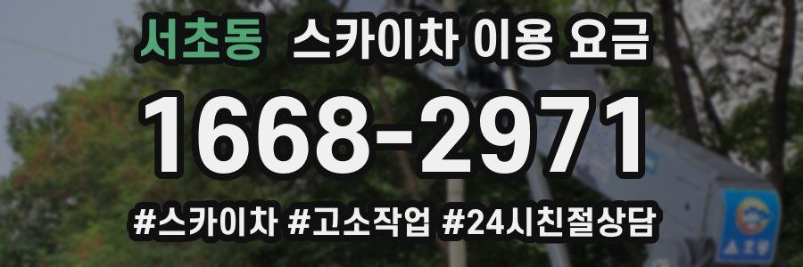 서초동 스카이차 이용 요금