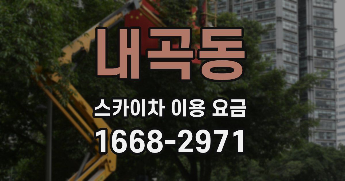 내곡동 스카이차 이용 요금