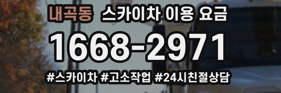 내곡동 스카이차 이용 요금