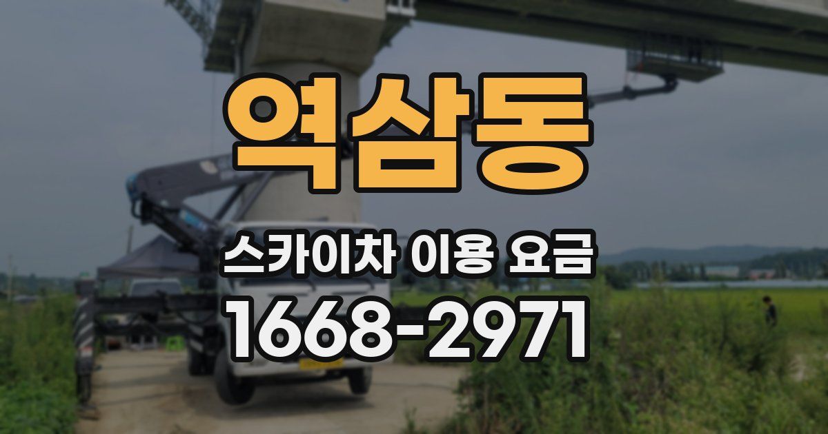 역삼동 스카이차 이용 요금