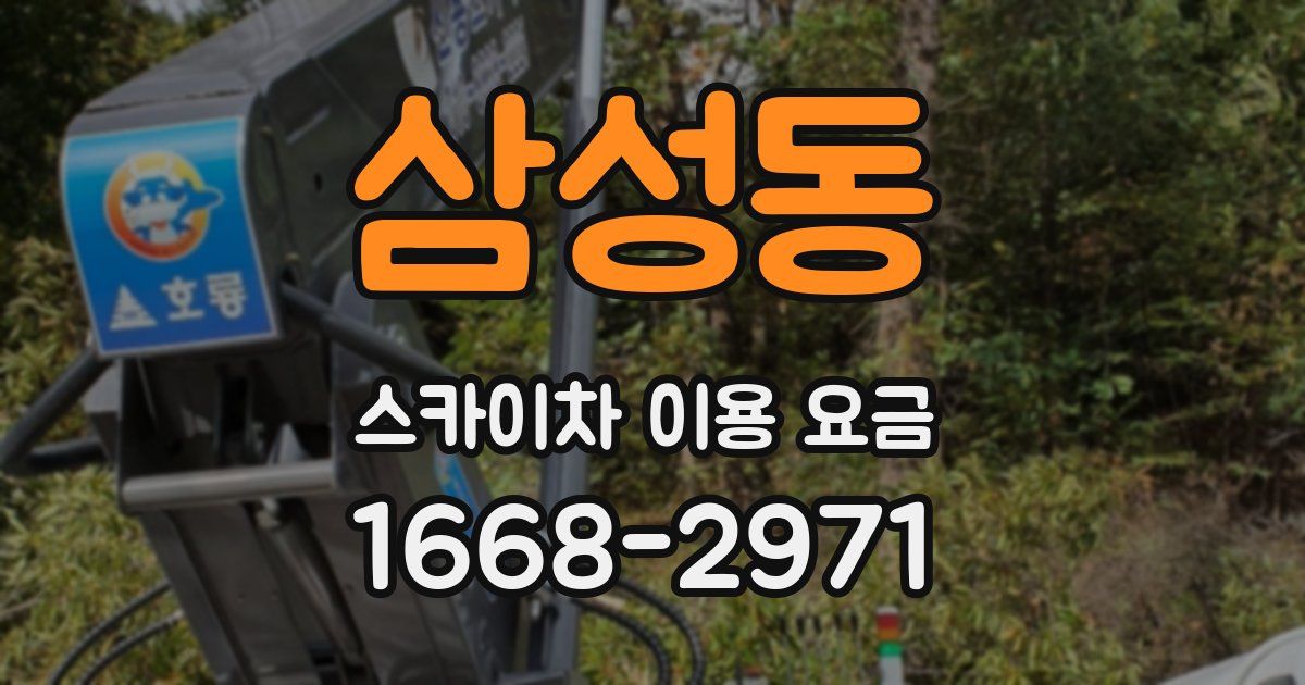 삼성동 스카이차 이용 요금